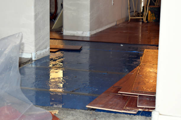 Professional Basement Flood Cleanup technician working in Mack, OH